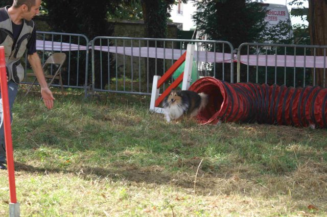 foire-haricots 2011-09-17et18